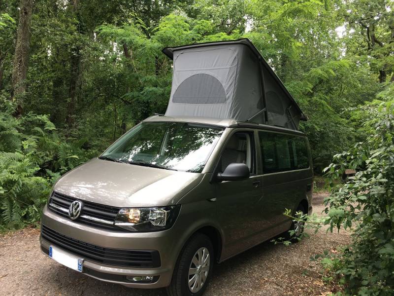 Volkswagen California Occasion Bordeaux